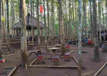 Viral ! Destinasi Wisata Alam Paniisan Rukun Jati Ciamis