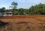 Tanah Kavling Murah Lokasi Strategis Rumpin Bogor