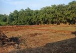 Tanah Kavling Murah Lokasi Strategis Rumpin Bogor