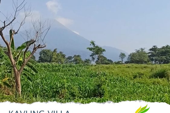 Iklan Kavling Villa Pandaan: Dekat Tempat Wisata, Free SHM atau Cashback 5JT