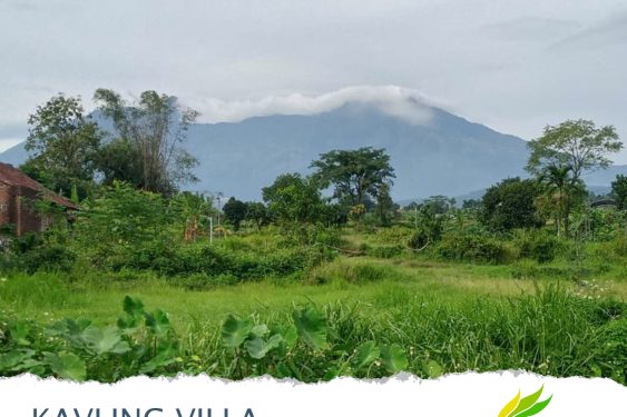 Pilihan Idaman: Tanah Kavling Villa Gempol-Pandaan, AJB Gratis