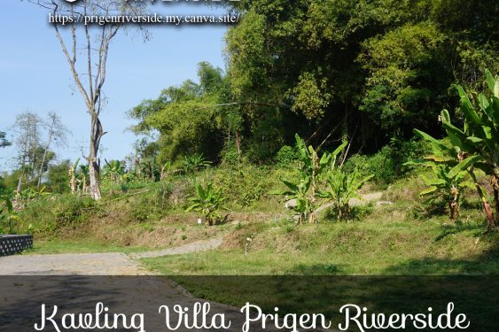 Pecinta Alam, Temukan Surga di Tanah Kavling Villa Prigen Riverside